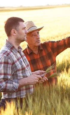 c495c95b-6375-4be9-9c53-967bec0e7c1e-agriculture-1-1.jpg